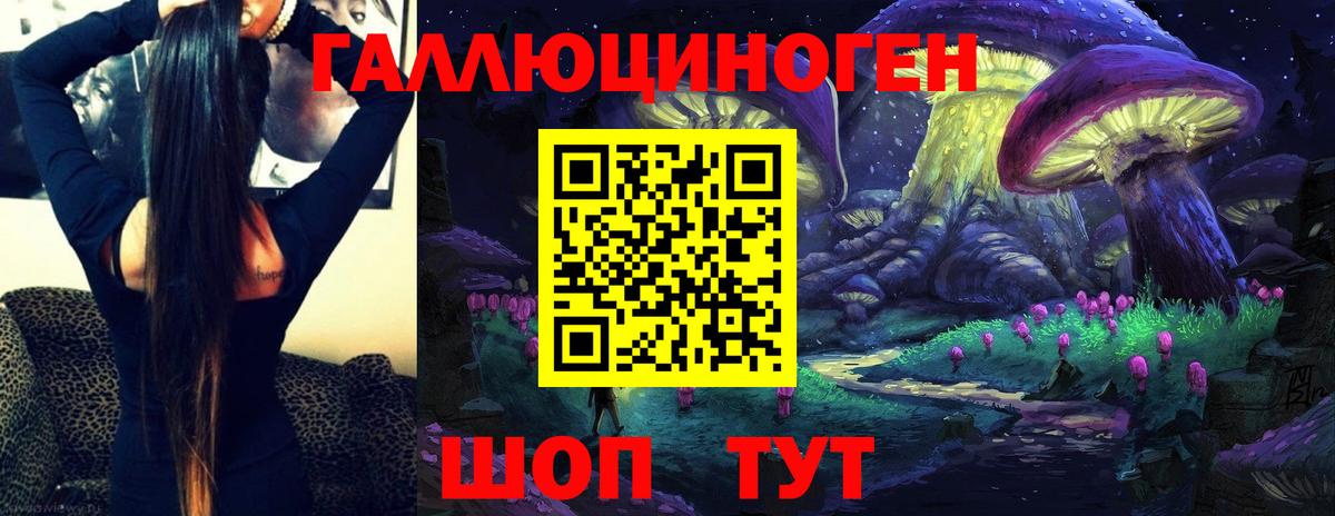 Псилоцибиновые грибы Cubensis Азов