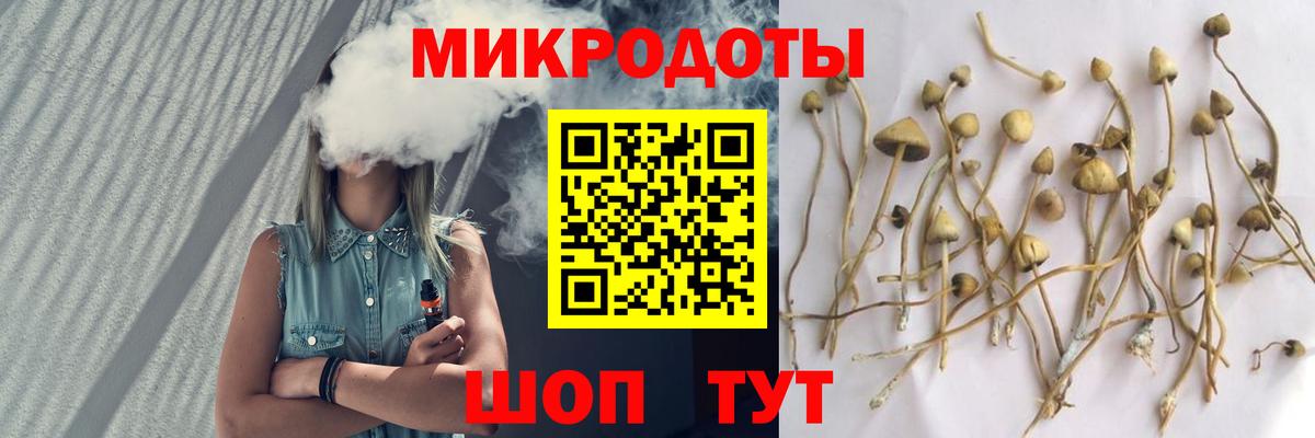 Галлюциногенные грибы мухоморы  Галлюциногенные грибы прущие грибы  Вход с VPN  Азов 